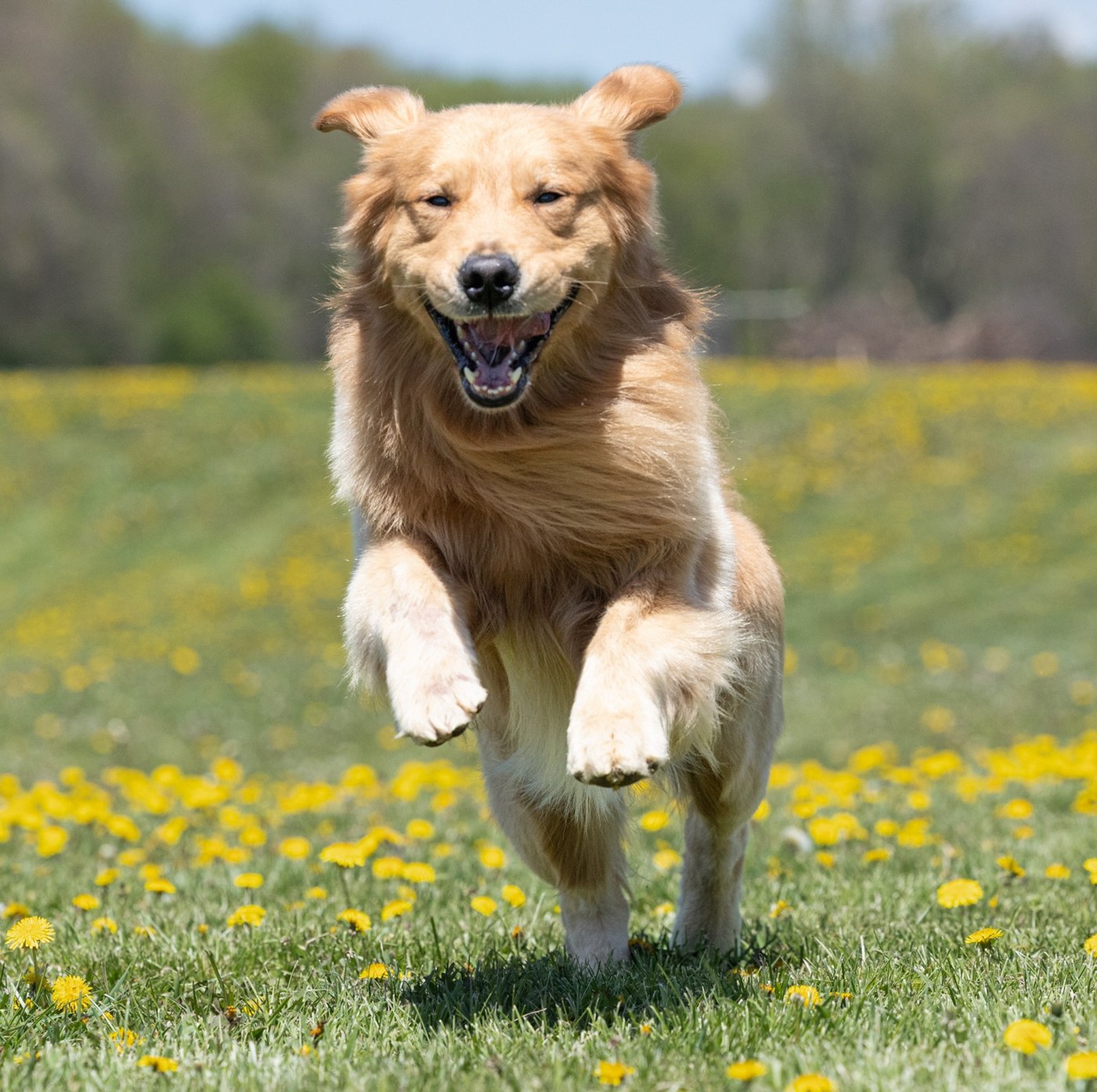 The real Jaxx running outdoors